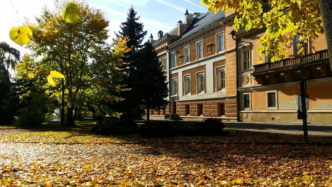 Zamek Svetla Nad Sazavou Hotel Buitenkant foto